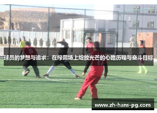 球员的梦想与追求：在绿茵场上绽放光芒的心路历程与奋斗目标