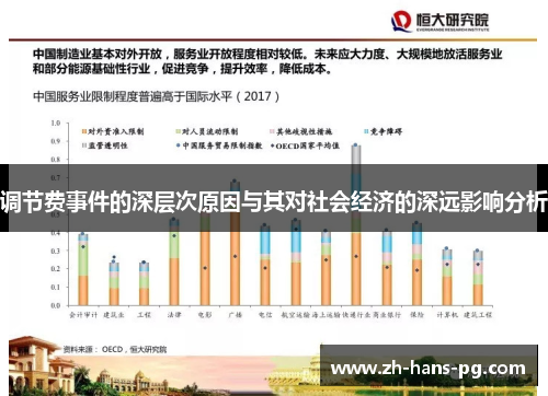 调节费事件的深层次原因与其对社会经济的深远影响分析