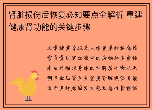 肾脏损伤后恢复必知要点全解析 重建健康肾功能的关键步骤